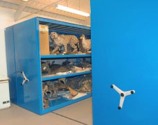 View Mobile Racking & Shelving Suitable For Museums