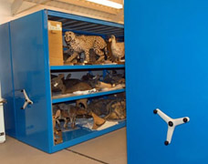 Roller Racking For Museums & Galleries