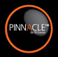 Pinnacle Ladders Logo