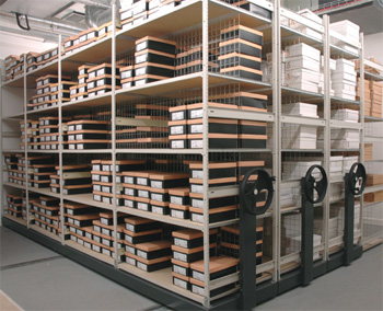 Storage Shelving Design Elements