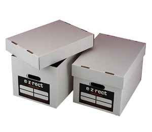 Archive Document Boxes - Pack of 25